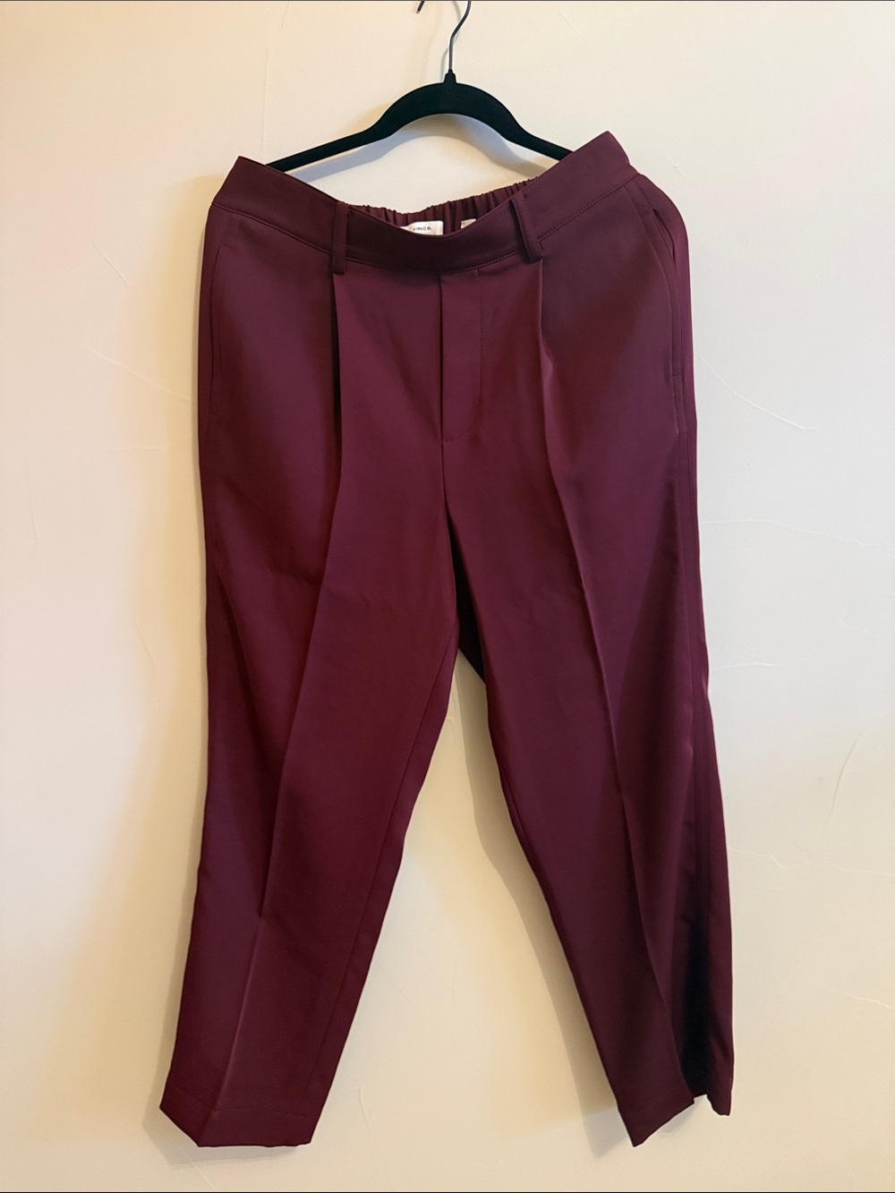 Vince Burgundy Cropped Pleated Ankle Pants